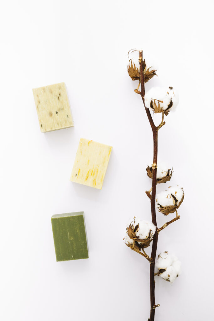 vue elevee de rameau coton a savons sur surface blanche(1)